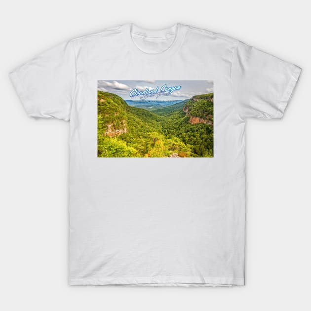 Cloudland Canyon State Park T-Shirt by Gestalt Imagery